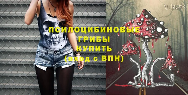 гидра Пролетарск