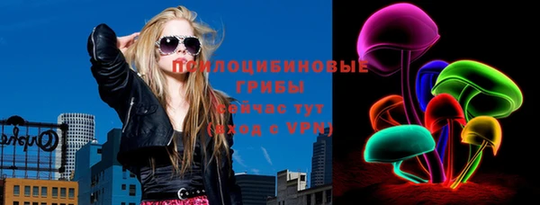 гидра Пролетарск