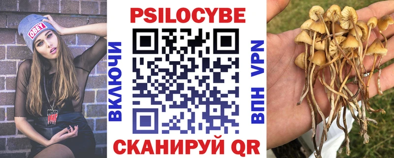 Псилоцибиновые грибы Psilocybe Купить закладки Янаул